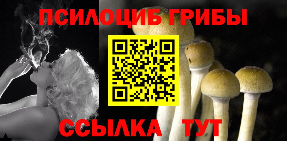 Коряжма  Галлюциногенные грибы Magic Shrooms  Псилоцибиновые грибы мицелий  Вход с VPN 